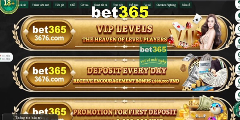 Casino Bet365 - Xóc Đĩa Tứ Linh Túi Tiền Rủng Rỉnh Chơi Ngay