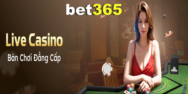 Các Địa Điểm Được Bet365 Đánh Giá Cao